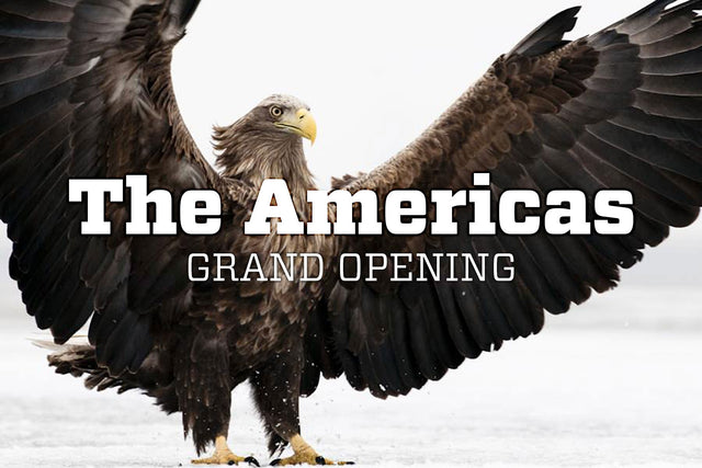 The Americas // Grand Opening //
