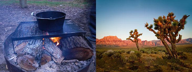 Joshua Tree Breakfast